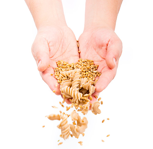 mains versant des pâtes et des grains de blé - Odyssée d'Engrain pâtes artisanales bio